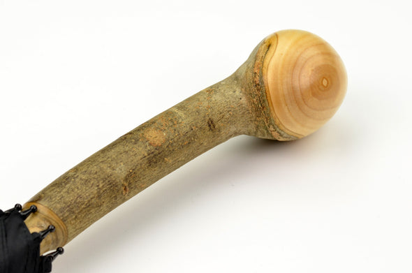 RS11 Ash Knob Solid